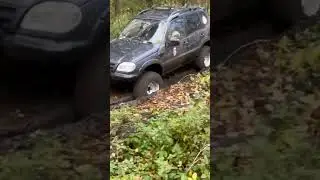 шевик смог