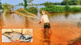 ମୋ ସାଙ୍ଗକୁ ସାପ କାମୁଡି ଦେଲା/ବନ୍ୟା ସମୟରେ ମାଛ ମାରିବାର ଖୁସି ଅଲଗା #odiavlogs #aashikaodiavlog