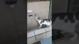 Can dostlarımızı susuz ve aç bırakmayalım                        #cat #candostlar #candostlari