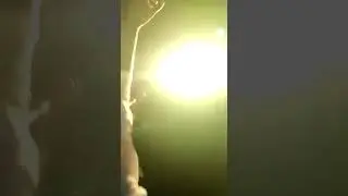 swar Samrat Band Satana Nashik swar  satana nashik
