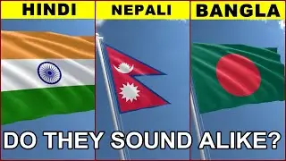 Bangla (বাংলা) vs Hindi (हिन्दी) vs Nepali (नेपाली): Do they sound similar? | Verbale Mondo