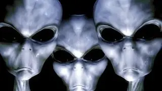 Aliens, Tipos y Razas..