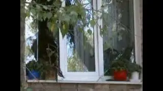 ДОНЕЦК  АВГУСТ 2014 ГОДА
