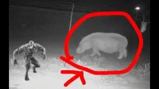 REAL NYC SKINWALKER SIGHTING