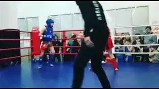 Тайский бокс - чемпионат