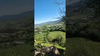 مباشرة من ضواحي العرائش: أجواء ربيعية جميلة في منطقة بني يسف و الحقول خضراء في مشهد رائع