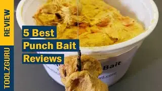 Best Punch Bait On 2024