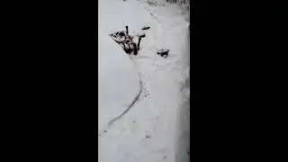 Одна из причин,почему не заводится ауди80,механический инжектор.