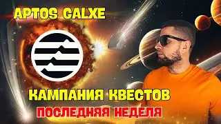APTOS КВЕСТЫ: ПОСЛЕДНЯЯ НЕДЕЛЯ | ПОШАГОВАЯ ИНСТРУКЦИЯ