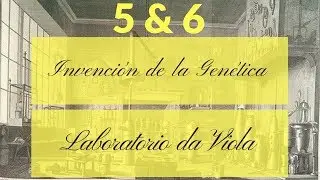Leonardo da Viola: Invención de la genética & Laboratorio da Viola