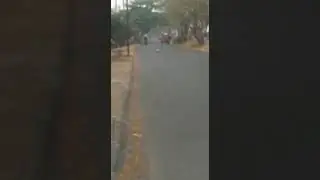 Castle 2650kv coba 4s kit buggy team C