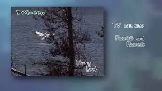 FaunaView: Yellowstone - Bird Encounters