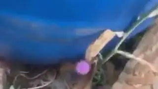 В Якутии дети нашли коронавирус