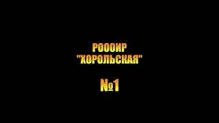 РОООИР ХОРОЛЬСКАЯ №1
