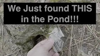 Finding $100 Dollars in Duck Poop Pond