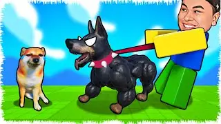 Барлық иттерді тыштырып қойдым | Құйрығын қысып қалды!