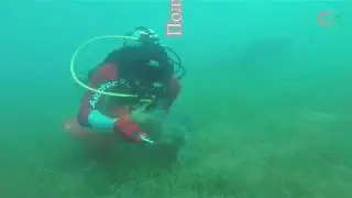 International Coastal Cleanup Day 2017 Международный День очистки водоёмов