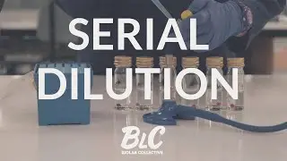 Serial Dilution - controlling concentration