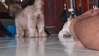 NA MOMROBLEMA NANAMAN C OREO