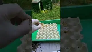 Edel-Prinzessinnen verteilen 🥰