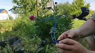 How to change the line in a trimmer