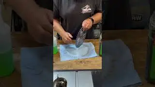 Clean your blades the easy way!! 