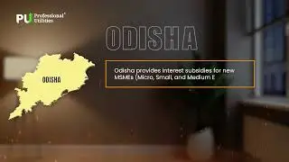 STATE WISE SUBSIDY| Professional Utilities