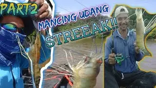MANCING UDANG SATANG PART2 || DOUBLE STEAKKK || MAMCING MANIA MANTAP