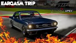 Forza 6 APEX ~ Eargasm Trip