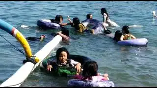 LIAT MEREKA RENANG, JADI PENGEN IKUTAN GAAESS