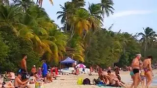 Biała plaza Martynika. Les Salines Beach,Martinique