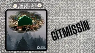 GİTMİŞSİN -Şiir ve Yorum: Halil Dülgar