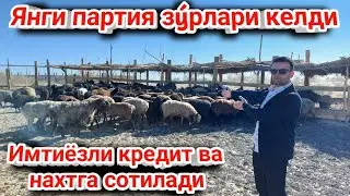 ХИВА Янги партия қýйлар келди Зýрлари ШОШИЛИНГ!!! 9-октября 2022 г.