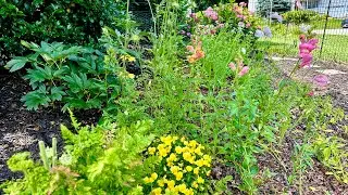 Winter Sown: A Walk Through the Cut Flower Garden