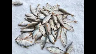 Я НЕ БЫЛ ГОТОВ К ТАКОМУ КЛЕВУ! БЕШЕНЫЙ КЛЕВ ПЛОТВЫ!Плотва на мормышку