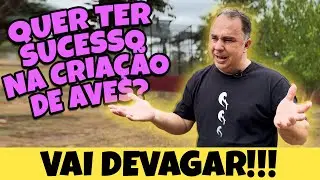 PRECISA COMEÇAR COM AVES CARAS?