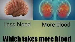 Human body crazy facts In tamil VDB Fire Facts