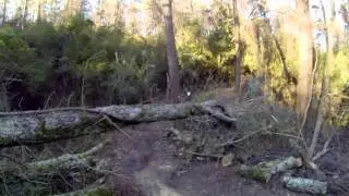 Cycle Therapy @ Jackson Hill