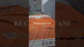 PAUS SEMAKIN PINTAR