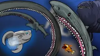 Beware of sharks... inside Bloop Diet? 🐟 