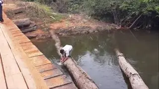È DA VIDA