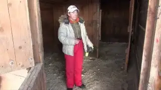 Обустройство денника в домашней конюшне