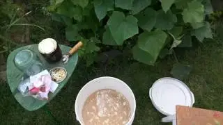 ДРОЖЖЕВАЯ ПОДКОРМКА - подкормка растений -  рецепт дрожжевой подкормки от Клематис TV