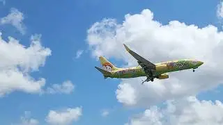[SBBE] Pouso Boeing 737-800 Gol Linhas Aéreas (Chico Bento Livery)