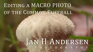 Editing a MACRO PHOTO of the Common Puffball
