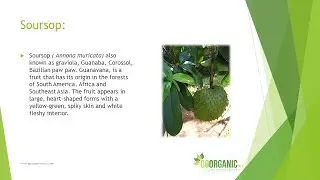 Health Benefits of Soursop
