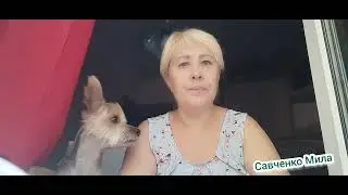 КОТЛЕТЫ ШКОЛЬНЫЕ РЕЦЕПТ ВРЕМЁН СССР СОЧНЫЕ ВКУСНЫЕ ПРИГОТОВИТ ЛЮБАЯ ХОЗЯЙКА