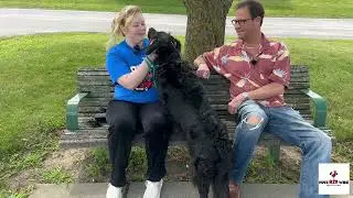 Interview with Cadence at the Wood County Humane Society