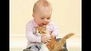 Кота бросают в бассейн)