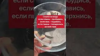 Если незаслуженно обидели | Белая магия 